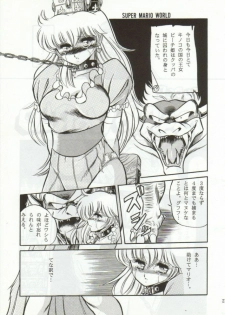 (CR15) [Circle Taihei-Tengoku (Horikawa Gorou)] Super Mario Collection (Super Mario Brothers) - page 20