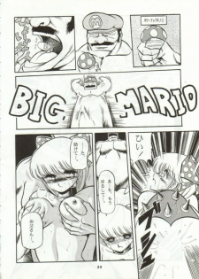 (CR15) [Circle Taihei-Tengoku (Horikawa Gorou)] Super Mario Collection (Super Mario Brothers) - page 29