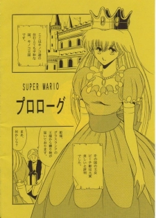 (CR15) [Circle Taihei-Tengoku (Horikawa Gorou)] Super Mario Collection (Super Mario Brothers) - page 3