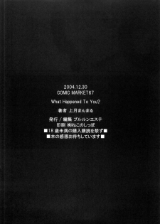 (C67) [Pururun Estate (Kamitsuki Manmaru)] What Happened to You? (Dead or Alive) [English] [SaHa] - page 26