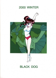 (C59) [BLACK DOG (Kuroinu Juu)] Green Day (Bishoujo Senshi Sailor Moon) - page 30