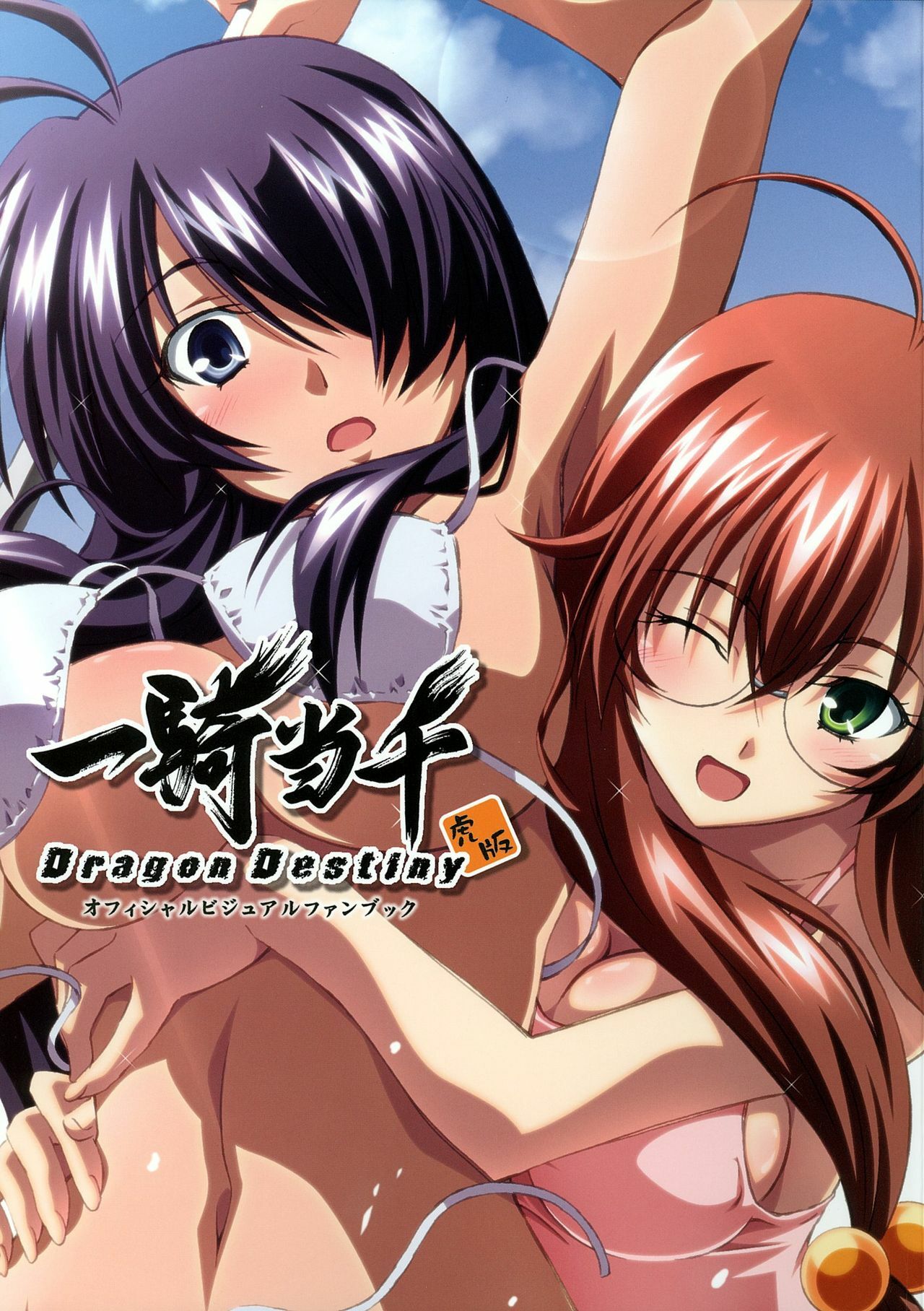 [TORANOANA] Ikkitousen Dragon Destiny Offical Visual Fan Book page 1 full