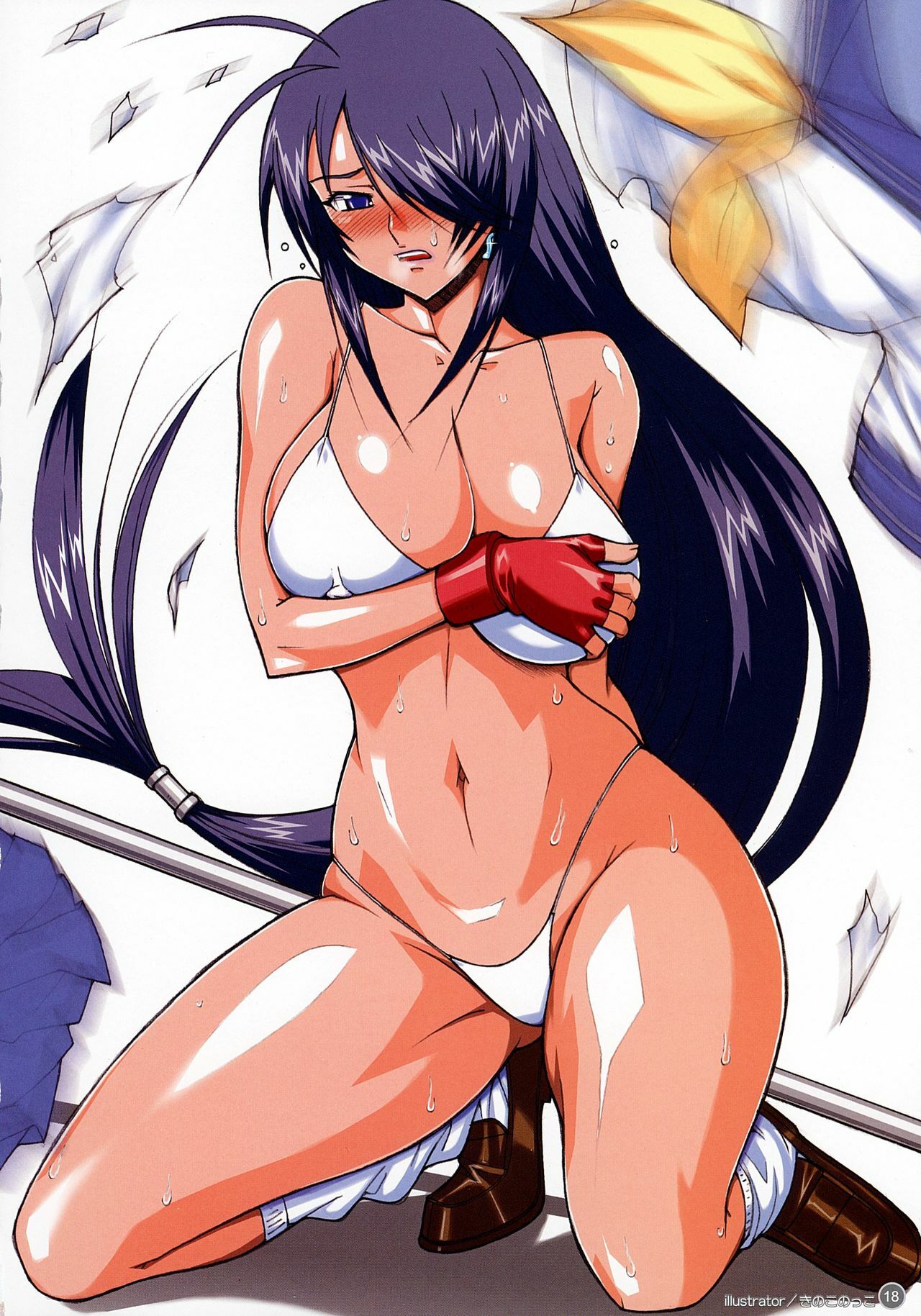 [TORANOANA] Ikkitousen Dragon Destiny Offical Visual Fan Book page 17 full