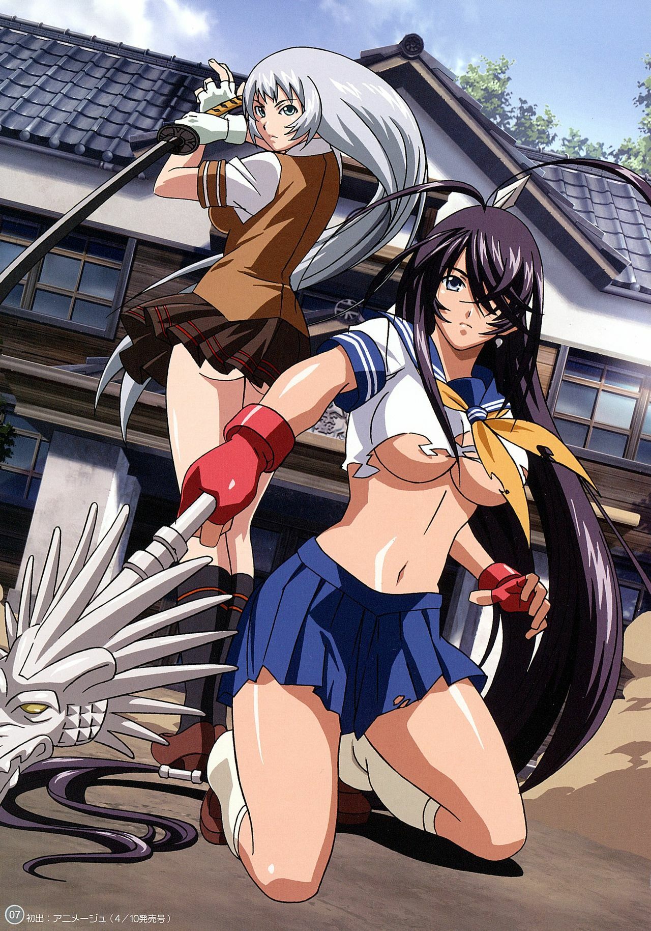 [TORANOANA] Ikkitousen Dragon Destiny Offical Visual Fan Book page 6 full