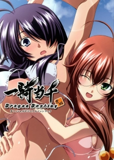 [TORANOANA] Ikkitousen Dragon Destiny Offical Visual Fan Book