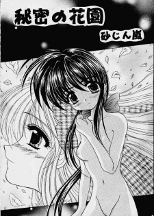 (C57) [Magudara Kaihou Doumei (Sajin Arashi)] My Mai Mai (Kanon) - page 5