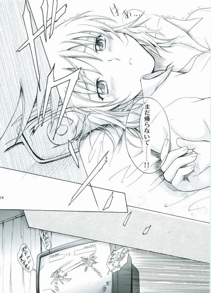 (C68) [Reongumi (Kaneda Reon)] HONEY BABY (Gundam SEED DESTINY) page 13 full