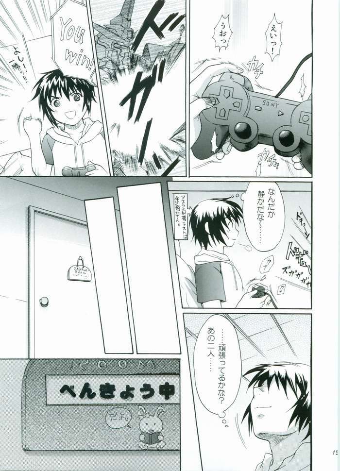 (C68) [Reongumi (Kaneda Reon)] HONEY BABY (Gundam SEED DESTINY) page 14 full