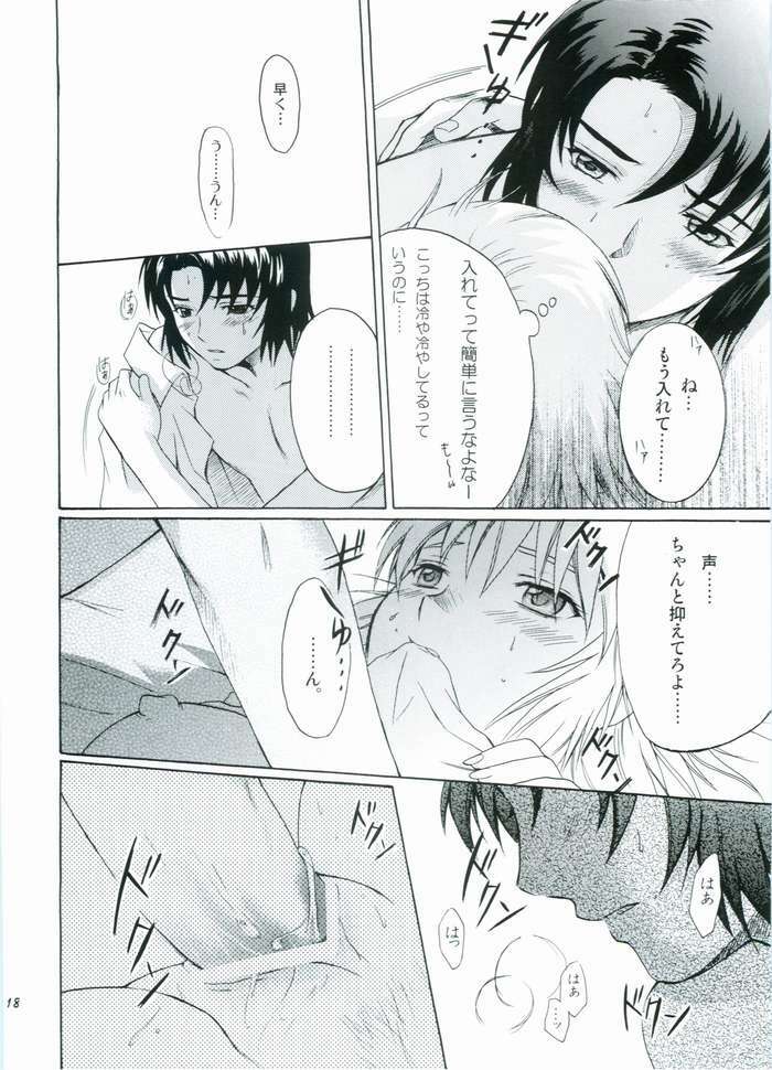 (C68) [Reongumi (Kaneda Reon)] HONEY BABY (Gundam SEED DESTINY) page 17 full