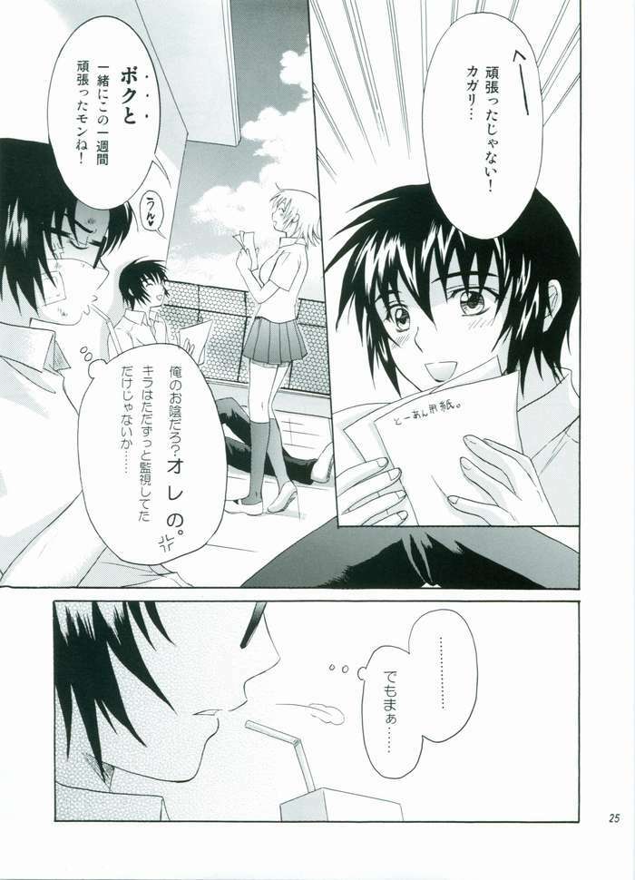 (C68) [Reongumi (Kaneda Reon)] HONEY BABY (Gundam SEED DESTINY) page 24 full