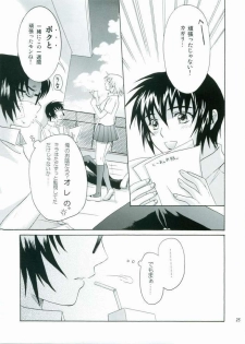 (C68) [Reongumi (Kaneda Reon)] HONEY BABY (Gundam SEED DESTINY) - page 24