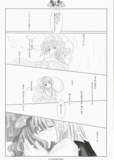 (Reitaisai 4) [ICHIGOSIZE (Natsume Eri)] Yasashii uta ga utaenai | A Gentle Song Cannot Be Sung (Touhou Project) - page 20