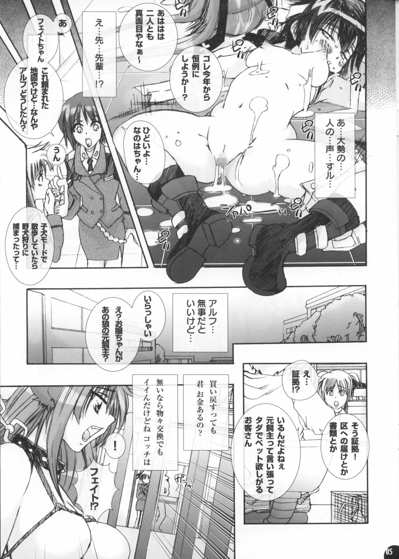 (SC35) [PLECO (Chikiko)] PLECO StrikerS 9.5 (Mahou Shoujo Lyrical Nanoha StrikerS) page 4 full