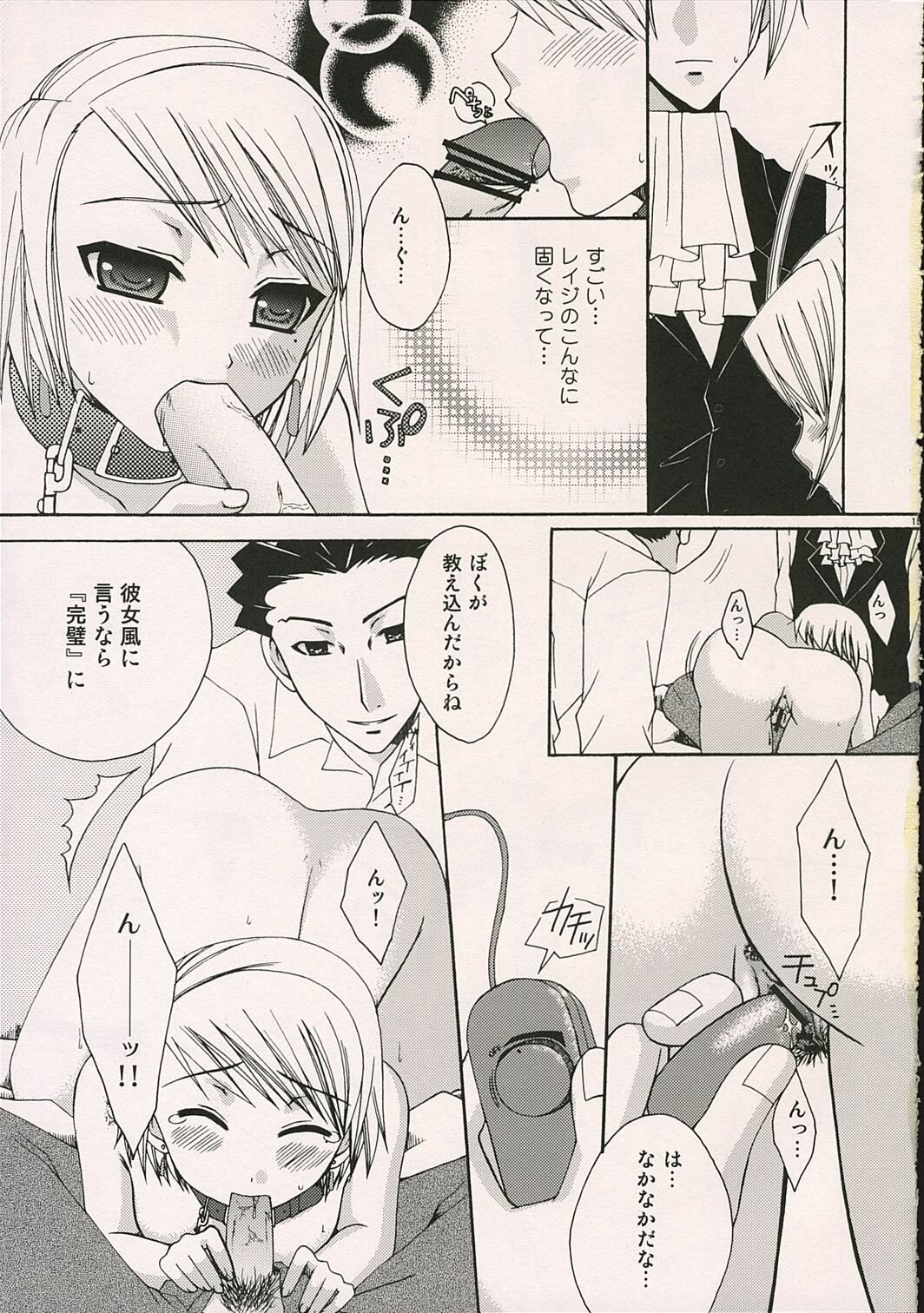 (SUPER10) [Pastel White (Okahara Meg.)] Aigan Kenji (Ace Attorney) page 14 full