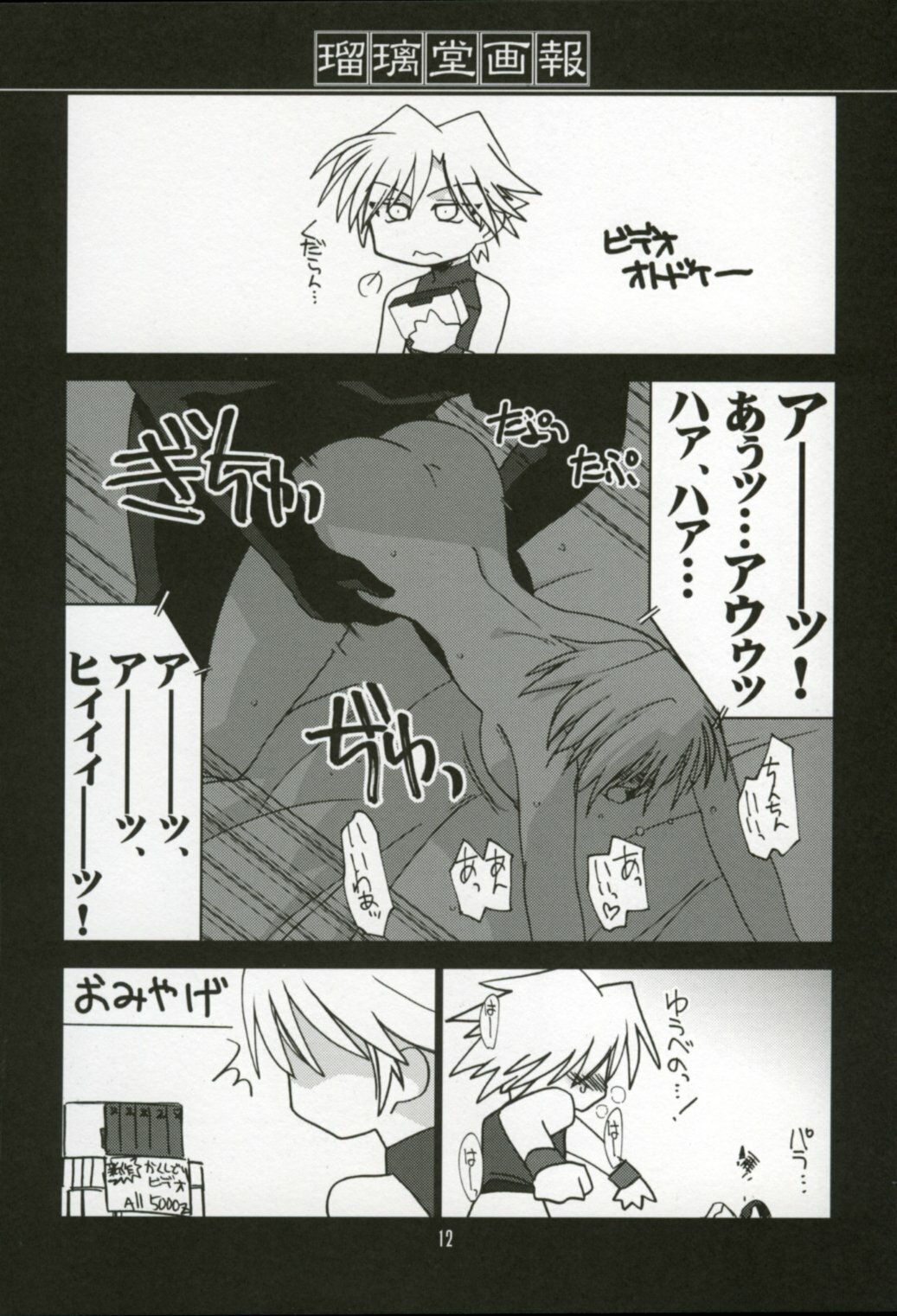 (C64) [UA Daisakusen, Lapislazuli=corporation (Harada Shoutarou)] Ruridou Gahou XX CODE:20 (Dead or Alive) page 11 full