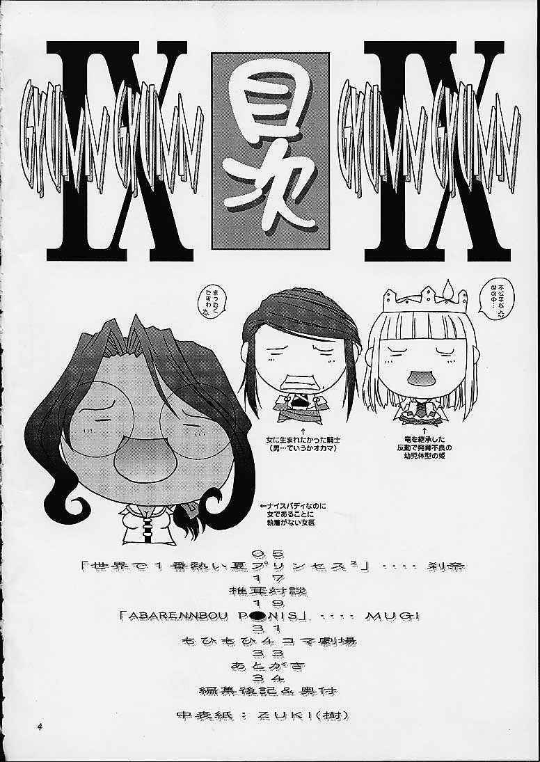 (C61) [Shiitake (Mugi, Setsuna)] Gyunn Gyunn 9 (Abarenbou Princess) page 3 full