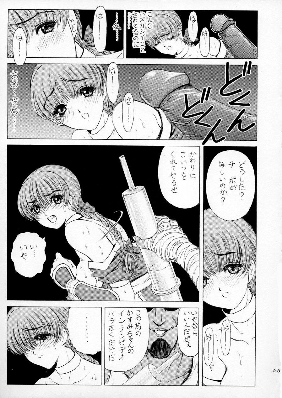 [Nonoya (Nonomura Hideki)] Ryoujoku ~DEAD or ALIVE Soushuuhen~ (Dead or Alive) [Decensored] page 25 full