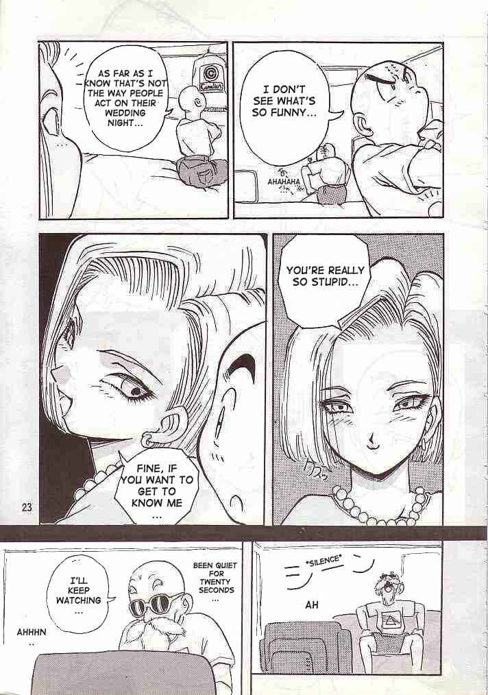 (C46) [Oiwaidou (Iwasaki Tatsuya)] No.18 SIDE REMAKES (Dragon Ball Z) [English] [Doujin-World] page 23 full