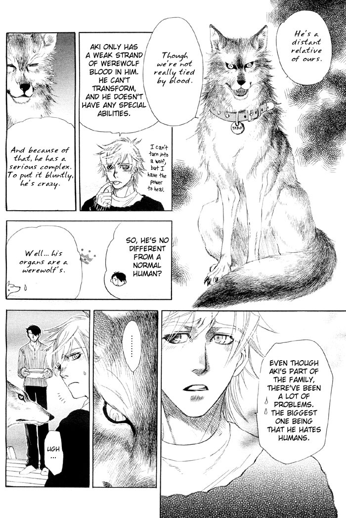 Yaoi - Three Wolves Mountain ch. 4 page 12 full