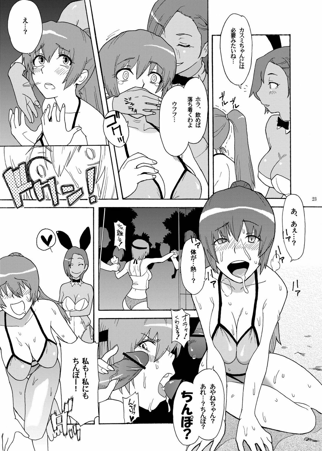 (SC33) [Air Praitre (TAKUMI, Ogata)] Kasumi Mesuinu Choukyou (Dead or Alive) page 23 full