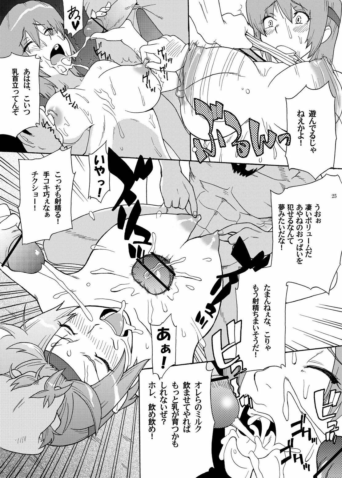 (SC33) [Air Praitre (TAKUMI, Ogata)] Kasumi Mesuinu Choukyou (Dead or Alive) page 25 full