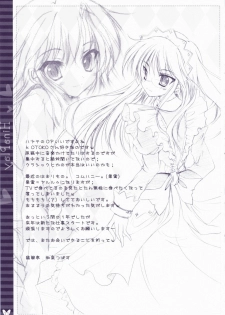 (C73) [Hisuitei (Izumi Tsubasu)] Hina Asobi (Hayate no Gotoku!) - page 20
