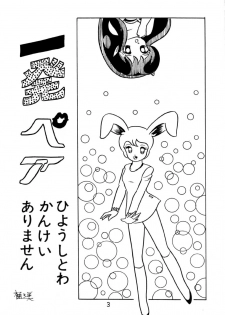 [Puchi Bunny-sha] Puchi Bunny 2 (Dirty Pair) - page 3