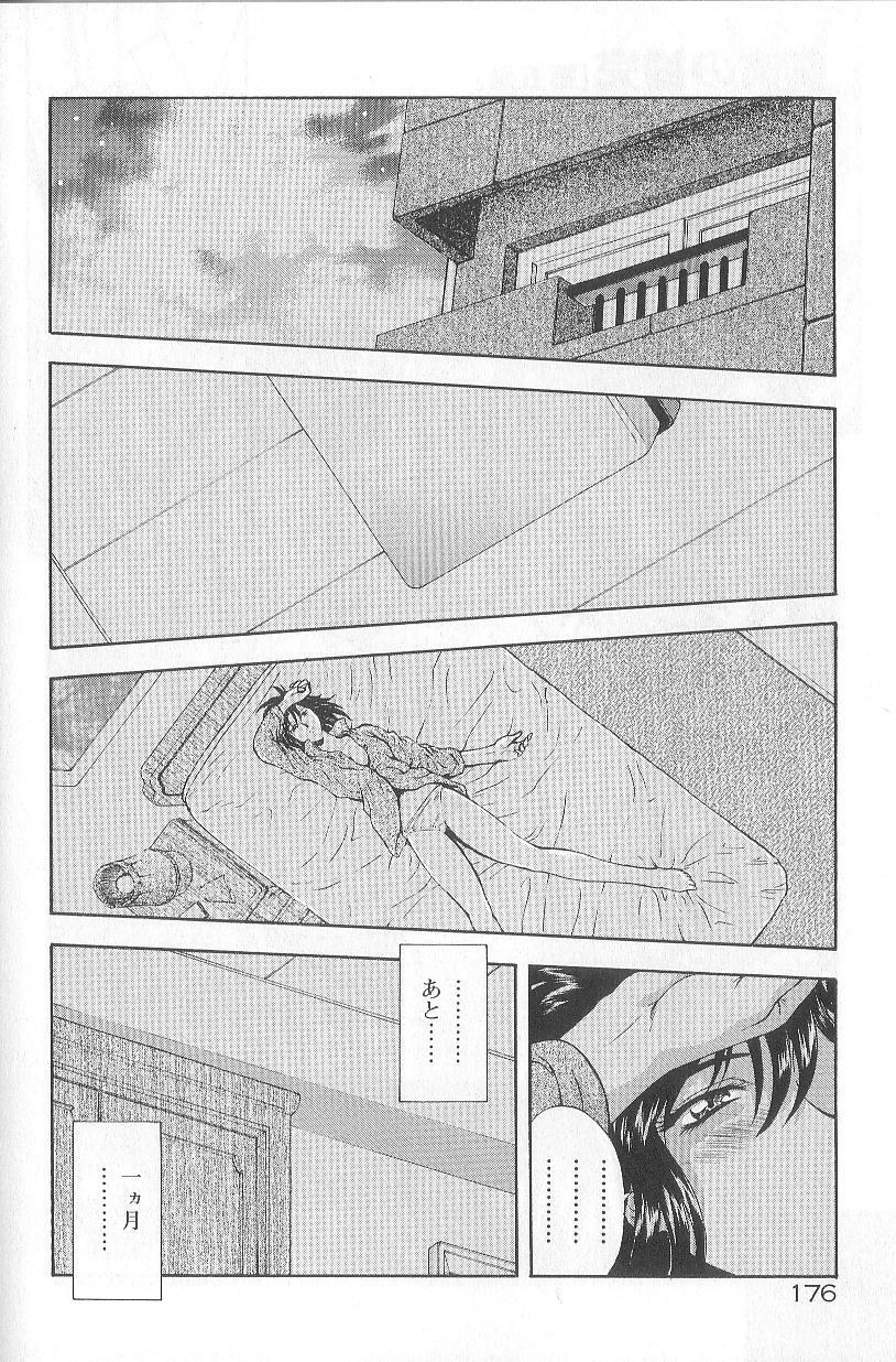 [Mukai Masayoshi] Shinjitsu No Hokan page 178 full