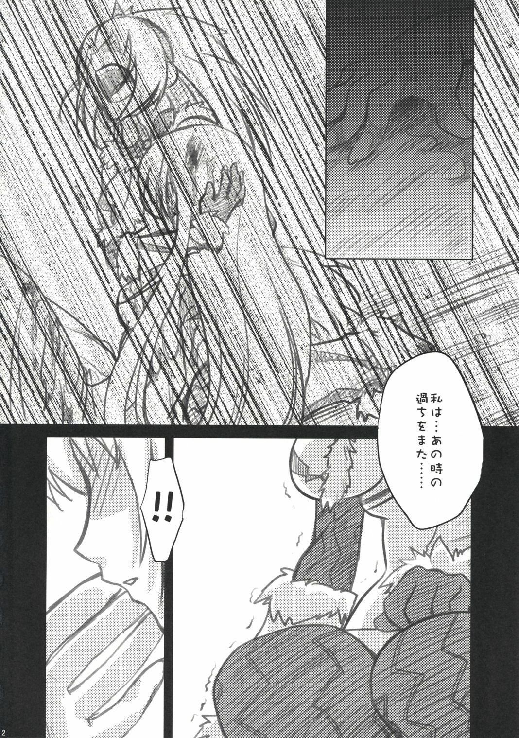 (C73) [Princess Heart (Amagai Yukino)] Kariudo Hakusho (Monster Hunter) page 11 full