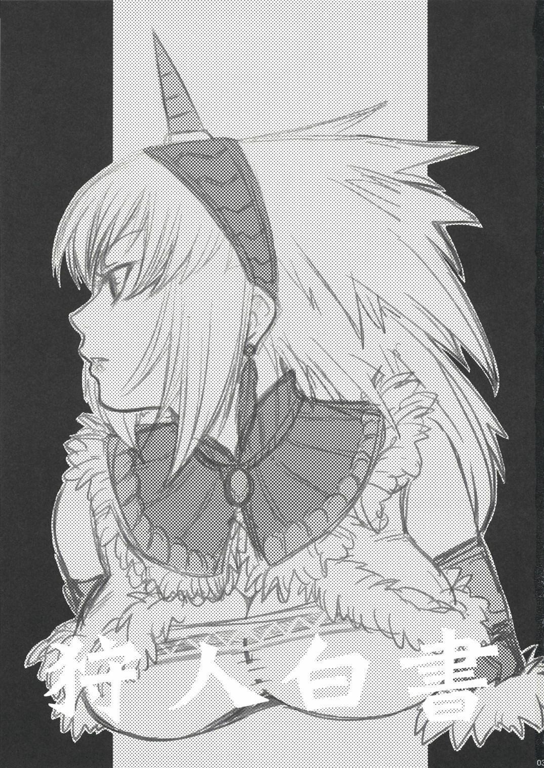 (C73) [Princess Heart (Amagai Yukino)] Kariudo Hakusho (Monster Hunter) page 2 full