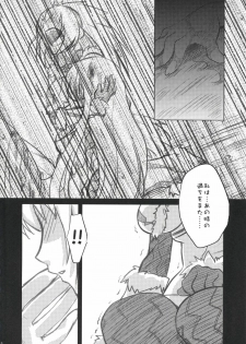(C73) [Princess Heart (Amagai Yukino)] Kariudo Hakusho (Monster Hunter) - page 11