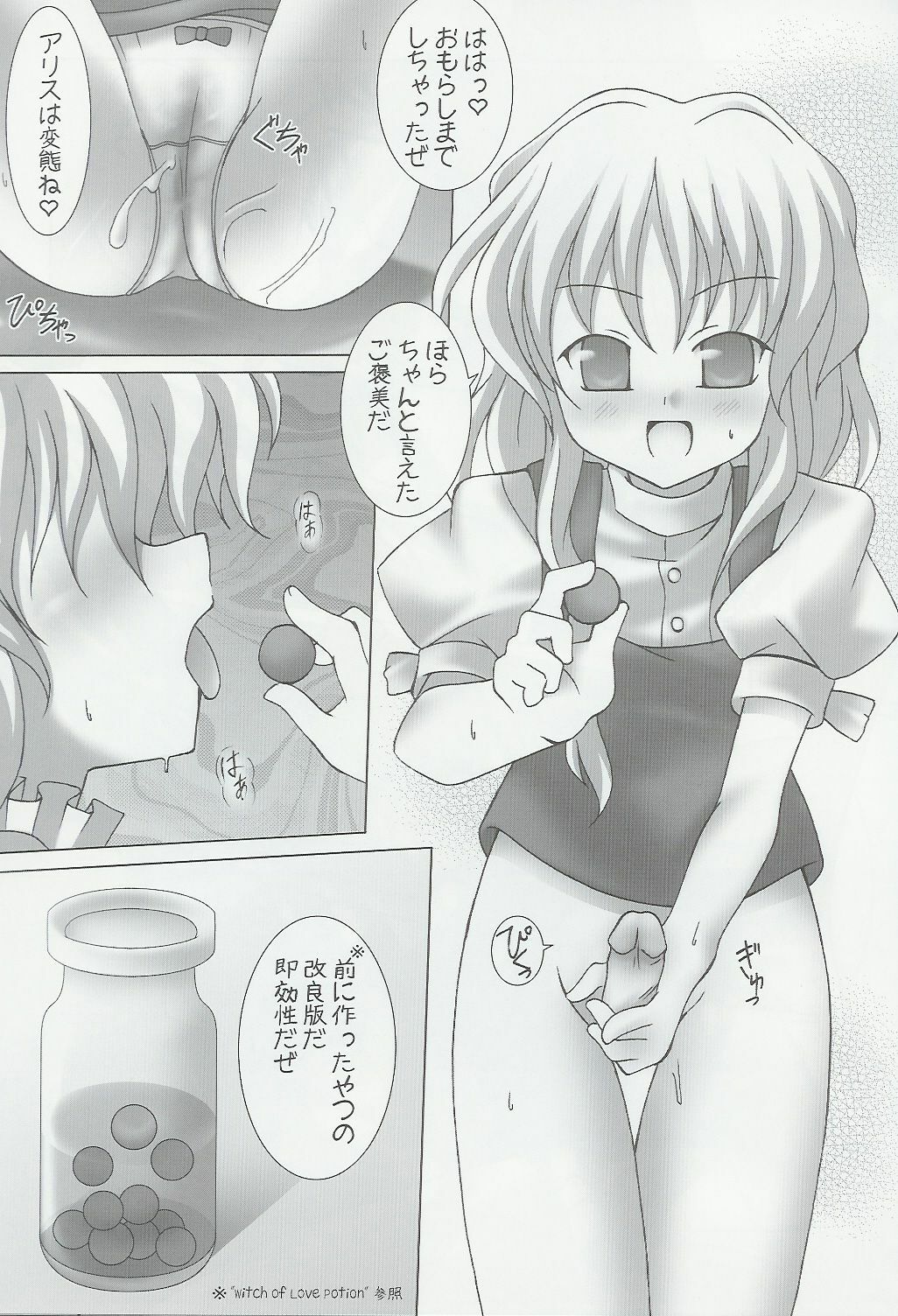 (C67) [Lemon Maiden (Aoi Marin)] Lunatics (Touhou Project) page 17 full