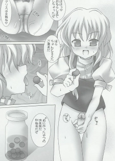 (C67) [Lemon Maiden (Aoi Marin)] Lunatics (Touhou Project) - page 17