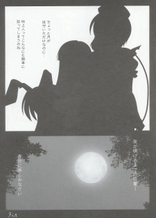 (C67) [Lemon Maiden (Aoi Marin)] Lunatics (Touhou Project) - page 25