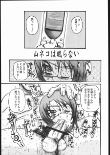 (C68) [OVACAS (Hirokawa Kouichirou)] MAI-CCHING (Mai-HiME) - page 4