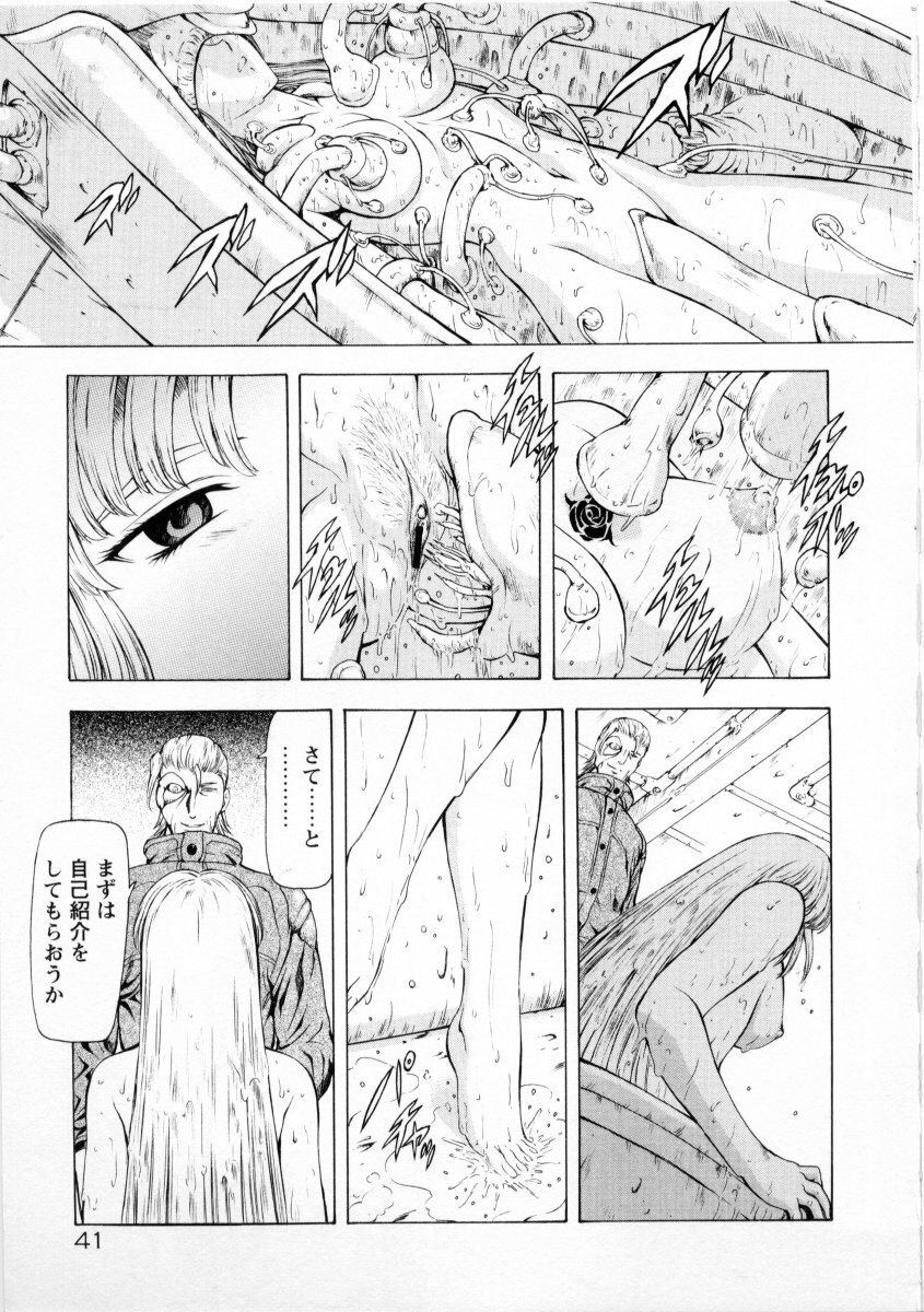 [Mukai Masayoshi] Ginryuu no Reimei Vol. 2 page 45 full