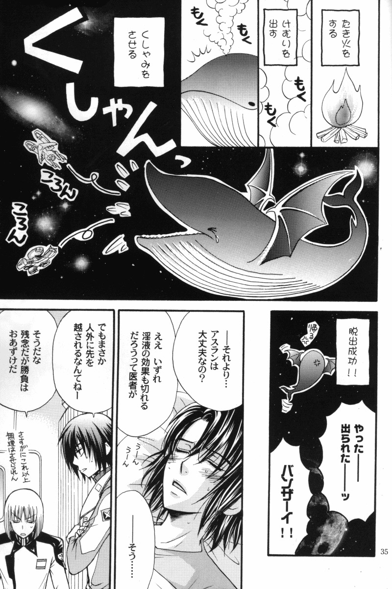 (C70) [Kodomokeibitai (Eiki Eiki)] Shiba Athrun. ~Uchuu kara no Shinrakusha!? Athrun Shokushu Jigoku!!~ (Gundam SEED DESTINY) page 34 full