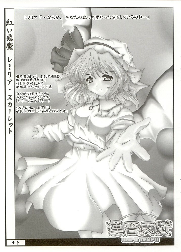 (Reitaisai) [Luft Forst (KAZAMI Rei)] Moe Touhou Gensoukyou - Unpu Tenpu (Touhou Project) page 10 full