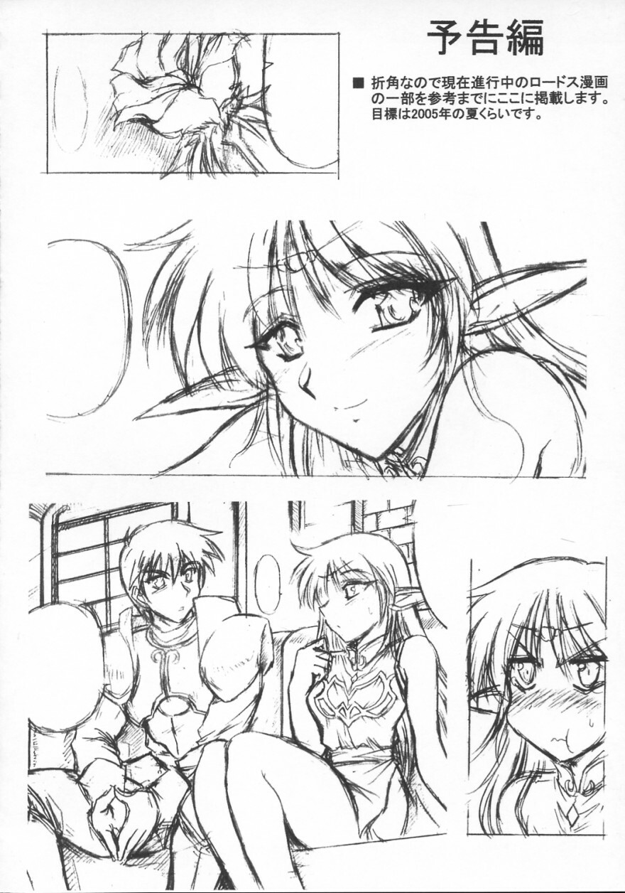 (C67) [Leaz Koubou (Oujano Kaze)] Light and Darlnell (Record of Lodoss War) page 23 full