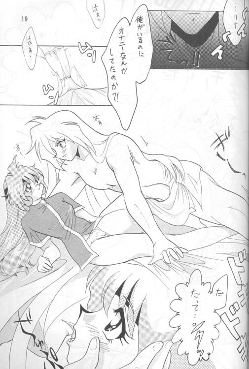 [Ginmomodou (Mita Satomi)] Slayers Adult 4 (Slayers) page 18 full