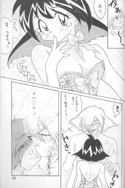 [Ginmomodou (Mita Satomi)] Slayers Adult 4 (Slayers) page 28 full