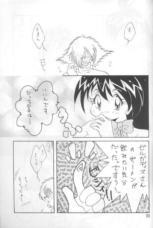 [Ginmomodou (Mita Satomi)] Slayers Adult 4 (Slayers) page 32 full