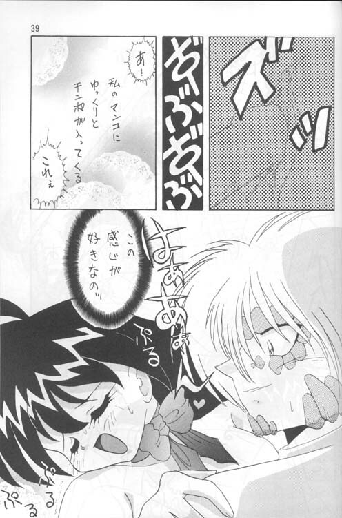 [Ginmomodou (Mita Satomi)] Slayers Adult 4 (Slayers) page 38 full