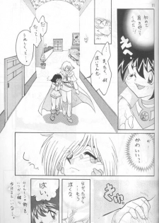 [Ginmomodou (Mita Satomi)] Slayers Adult 4 (Slayers) - page 10