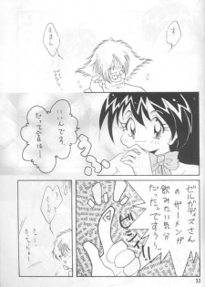 [Ginmomodou (Mita Satomi)] Slayers Adult 4 (Slayers) - page 32