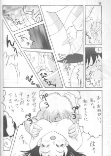 [Ginmomodou (Mita Satomi)] Slayers Adult 4 (Slayers) - page 37