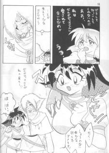 [Ginmomodou (Mita Satomi)] Slayers Adult 4 (Slayers) - page 9