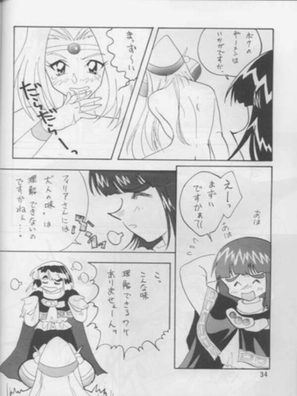 [Ginmomodou (Mita Satomi)] SLAYERS ADULT 3 (Slayers) page 31 full