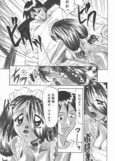 [Takaoka Motofumi] Maid Me Mad - page 26