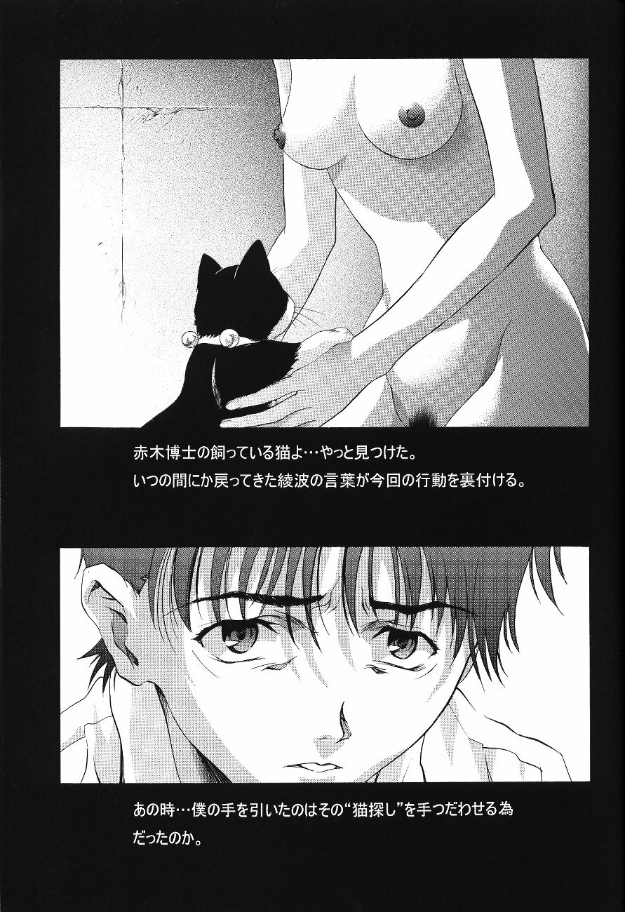 (C64) [Henreikai (Various)] Ayanami Club Ichi (Neon Genesis Evangelion) page 45 full